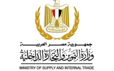 حقيقة فيديو جودة الدقيق في مخابز القليوبية: توضيح من وزارة التموين