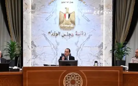 8 قرارات حاسمة لمجلس الوزراء لتعزيز النقل وتوسيع الاستثمارات وتحفيز المشروعات اللوجستية