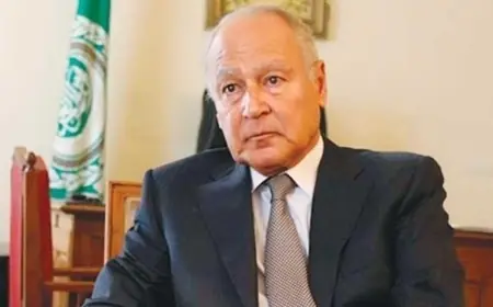 أبو الغيط يشيد بالرئيس السيسي لإنقاذه مصر من كارثة في 30 يونيو