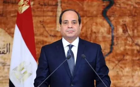 السيسي يؤكد: الإصلاح الاقتصادي لتعزيز قدرات الدولة وتحقيق التنمية الشاملة
