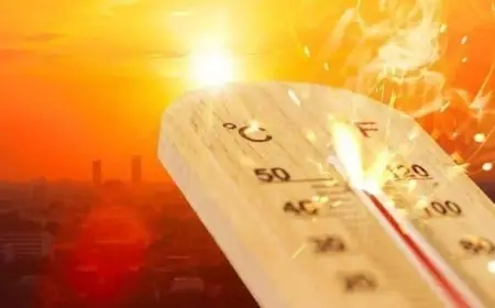 توقعات الأرصاد: أمطار متفاوتة الشدة تهطل على الإسكندرية والبحيرة وكفر الشيخ