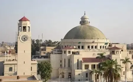 مجلس الوزراء يعزز تطبيق برنامج التوكاتسو الياباني في الجامعات المصرية