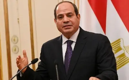 السيسي يشدد على ضرورة إقامة دولة فلسطينية لتحقيق السلام في محادثاته مع نتنياهو