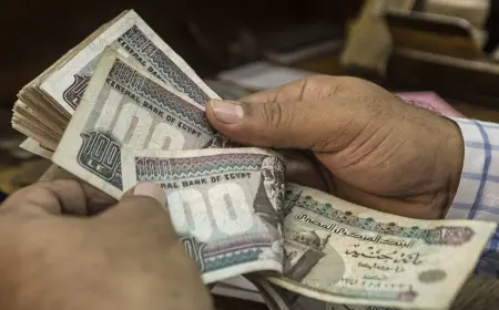 موعد صرف معاشات نوفمبر 2026 المبكر وكيفية الاستعلام