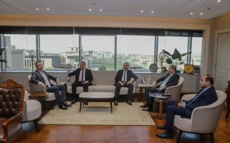 وزيرا الزراعة والتموين ورئيس زراعة النواب يناقشون تحديد أسعار متوازنة لتوريد القمح والمحاصيل الحيوية