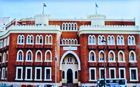 اشتباك بالأيدي بين طلاب كلية التربية النوعية في الإسكندرية بسبب أولوية الجلوس داخل الحرم الجامعي