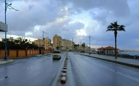 تعرف على تفاصيل الطقس الأسبوع المقبل مع الانخفاض الشديد في درجات الحرارة