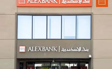 اكتشف شروط وطريقة التقديم لوظائف بنك الإسكندرية 2026