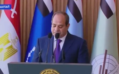 السيسي يعبر عن امتنانه للسعودية والإمارات والكويت ويدعو لتحية عسكرية تقديراً لمواقفها