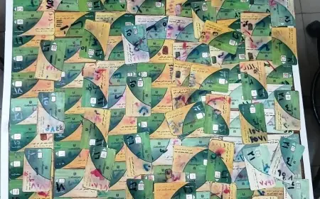 مصادرة وإتلاف 1000 كرتونة لوليتا فاسدة في سوهاج لضمان سلامة المستهلكين