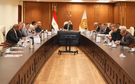 وزير العمل يقود اجتماع صندوق تمويل التدريب والتأهيل ويكشف: المساهمات بلغت 399.5 مليون جنيه
