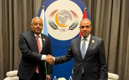 وزير الخارجية يعقد اجتماعًا مع نظيره الجيبوتي لمناقشة تعزيز العلاقات الثنائية والتطورات الإقليمية