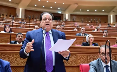 أبو العينين يؤكد: مصر داعمة لأشقائها ورسائل الرئيس السيسي بشأن أمن السعودية والخليج واضحة وحاسمة