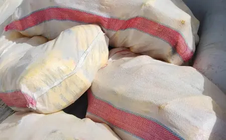 ضبط 110 كيلو دجاج مجمد مجهول المصدر في بورسعيد