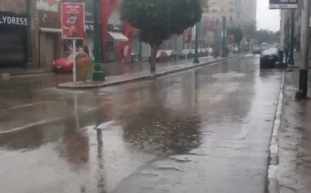 الإجراءات اللازمة لتنمية محلية قوية استعدادًا لموسم الأمطار والسيول توجهها وزيرة التنمية