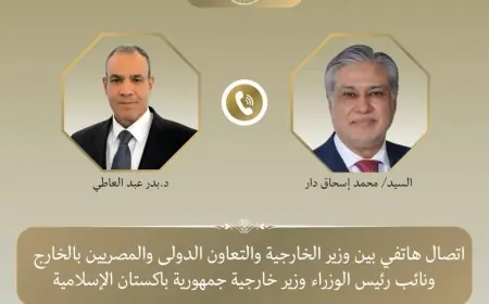 وزير الخارجية ونظيره الباكستاني يناقشان استراتيجيات فعالة لخفض التصعيد واستعادة التهدئة في المنطقة
