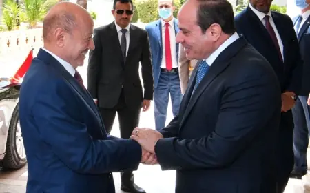 رئيس مجلس القيادة اليمني يثني على دعم مصر الشجاع والمتميز لليمن