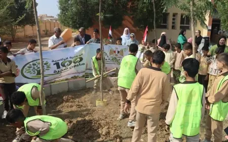 زراعة 3620 شجرة في بني سويف بدعم من وزيرة التنمية المحلية والبيئة