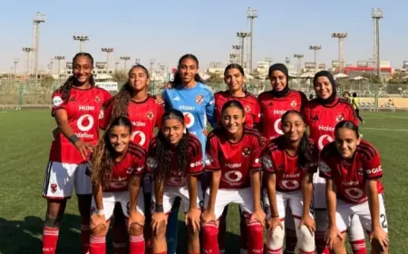 مواجهة صعبة تنتظر أهلي 2008 أمام وادي دجلة اليوم في بطولة الجمهورية