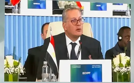 اكتشافات بترولية جديدة: إضافة 591 بئرًا وزيادة الإنتاج وتحقيق 113 كشفًا خلال عامين