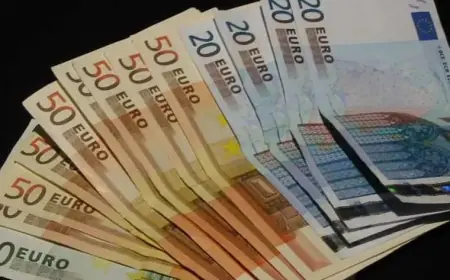 سعر اليورو اليوم: اكتشف آخر تحديث الثلاثاء 20 أكتوبر 2026 في البنوك