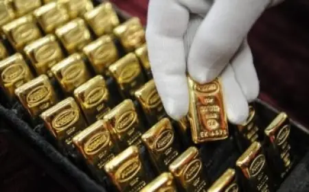 جهود تعزيز الحماية الغذائية محور مشاركة وزيرة التضامن في جلسة ضبط الأسواق