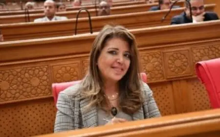 الرئيس السيسي يطمئن المواطنين: احتياطي السلع الاستراتيجية في مصر يغطي 6 أشهر كاملة