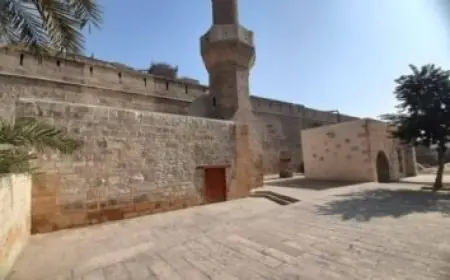 الرئيس السيسي يؤكد أهمية إحلال السلالات القديمة لزيادة الإنتاج الحيواني للمحافظين والمواطنين