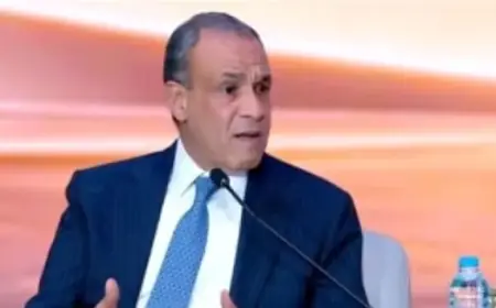 وزير الخارجية يؤكد: مصر تتصدى بحزم لمحاولات تصفية القضية الفلسطينية والمخطط مستمر