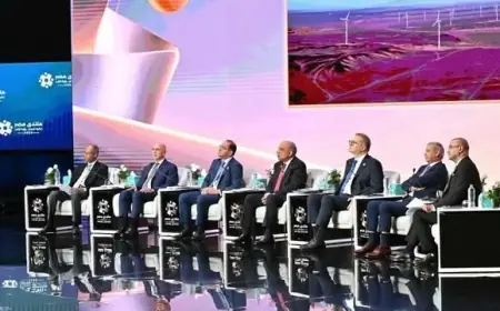 وزير الكهرباء في منتدى مصر يعلن تقليل استهلاك الغاز الطبيعي بأكثر من 65 مليار متر مكعب