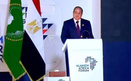 الرئيس السيسي يعلن تحمل الدولة للنصيب الأكبر من تكاليف الطاقة الحقيقية الموفرة