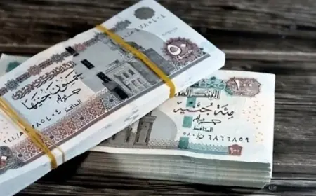 تعرف على موعد صرف معاشات نوفمبر 2026 وخطوات الاستعلام وأماكن الصرف الميسرة