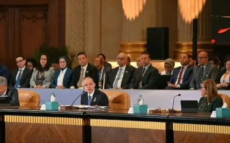 تأسيس الشركات إلكترونيا يفتح أبواب الاستثمار الأجنبي في مصر