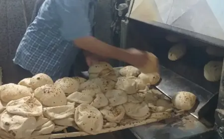 محافظ أسيوط يكشف عن تحرير 269 محضرا تموينيا وضبط لحوم ودواجن غير صالحة و26 جوال دقيق مدعم