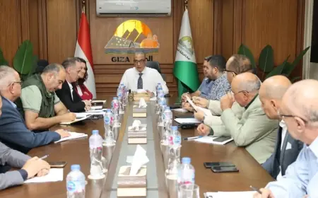 محافظ الجيزة يسعى لحلول فورية لإنهاء تعارض المرافق مع مشاريع الرصف في حدائق الأهرام