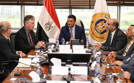 وزير الصناعة يخطو نحو نقل التكنولوجيا البرازيلية واليابانية لإنتاج القوالب والإسطمبات في مصر