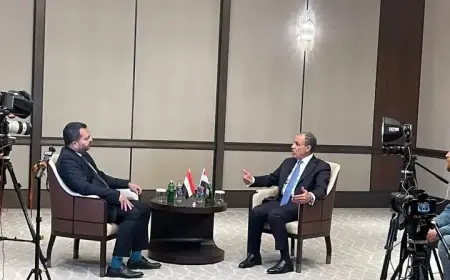 مصر تعلن رفضها لمذكرة ترسيم الحدود البحرية بين تركيا وليبيا