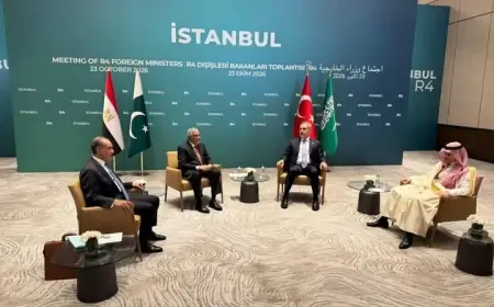 مشاركة وزير الخارجية في اجتماع وزراء خارجية مجموعة R4 في إسطنبول