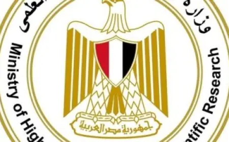إليك كيف تحولت منظومة التعليم العالي والبحث العلمي في مصر خلال 12 عامًا من التطوير منذ 2014