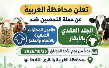محافظ الغربية يطلق غدًا الأحد المرحلة الثانية من الحملة القومية للتحصين ضد الأمراض الوبائية