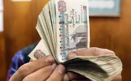 أحدث عروض شهادات الادخار في البنك الأهلي وبنك مصر قبل اجتماع البنك المركزي