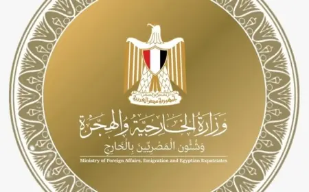 متحدث الخارجية: الاتفاقيات التي لا تشارك فيها مصر أو توافق عليها بلا قيمة
