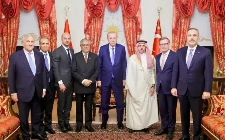 لقاء مرتقب بين وزير الخارجية والرئيس التركي