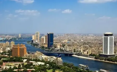 الأرصاد توضح توقعات الطقس للأسبوع الحالي: أمطار رعدية وشبورة مائية تهدد هذه المناطق