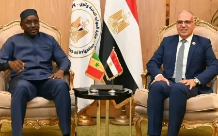 وزير الري يعلن عن تعزيز الشراكة بين مصر والسنغال لدعم الأمن المائي وتحقيق التنمية المستدامة في أفريقيا