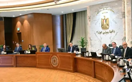 رئيس الوزراء يقود اجتماع اللجنة العليا لمناقشة شئون المشاركة