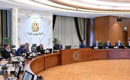 مدبولي يناقش تأمين الاحتياجات المحلية وتعزيز الجاهزية لمواجهة التحديات الإقليمية والدولية