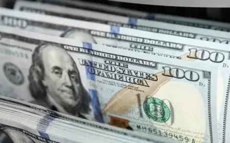 تعرف على سعر الدولار مقابل الجنيه بنهاية التداولات في البنوك اليوم