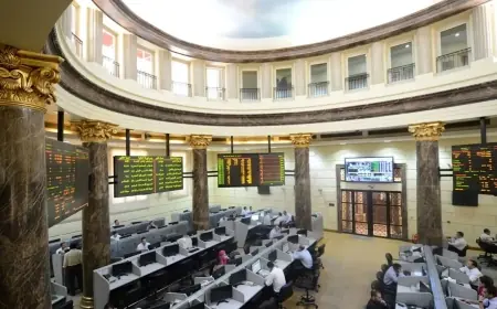أسباب نادرة لتوقف تداول البورصة المصرية لمدة نصف ساعة
