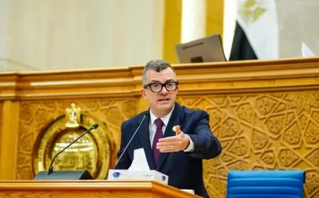 وزير التخطيط يكشف أمام مجلس الشيوخ: خطوات حاسمة لتسوية مديونيات بنك الاستثمار القومي بـ 401.9 مليار جنيه